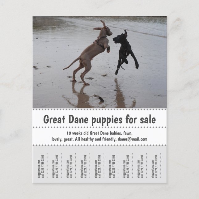 Flyer Vendedor de Poster (Frente)