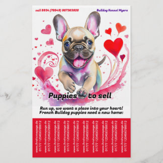 Flyer Vender Cachorro Bulldog Francês