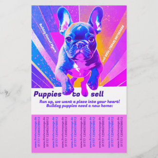 Flyer Vender Cachorro Bulldog Francês