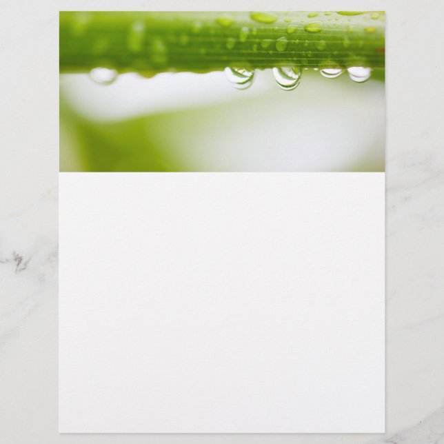 Flyer Verde deixa fundo (Frente)