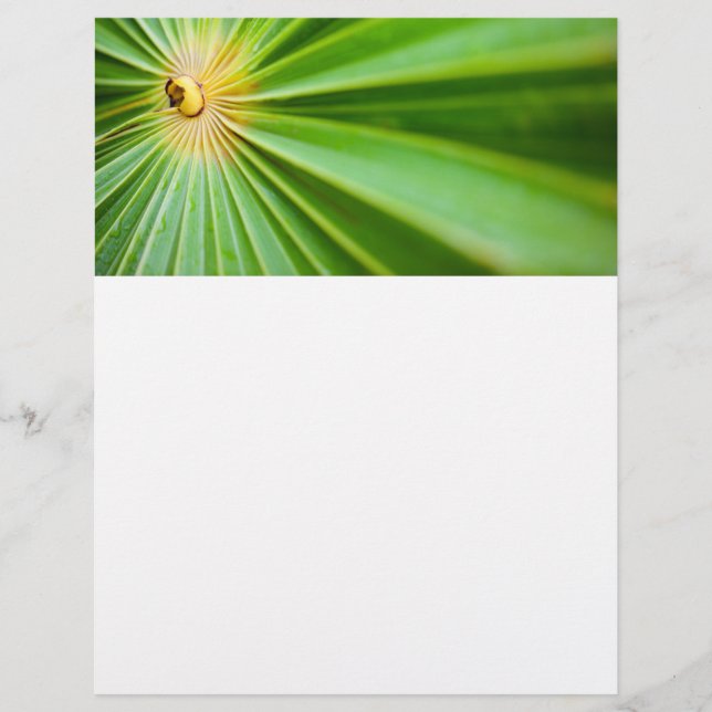 Flyer Verde deixa fundo (Frente)