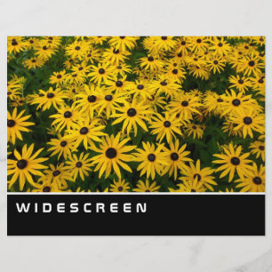 Flyer Widescreen - Susans de olhos pretos