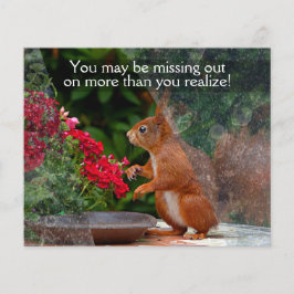 Flyer WINDOW CLEANING BUSINESS 4 x 5 PROMO personalizáve