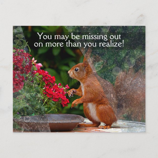 Flyer WINDOW CLEANING BUSINESS 4 x 5 PROMO personalizáve (Frente)