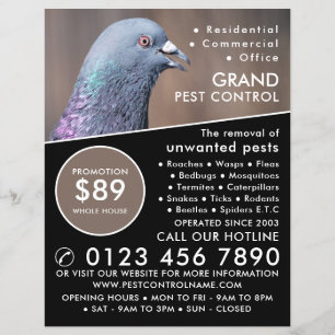 Flyer Wood Pigeon, Publicidade Para Controle De Pest