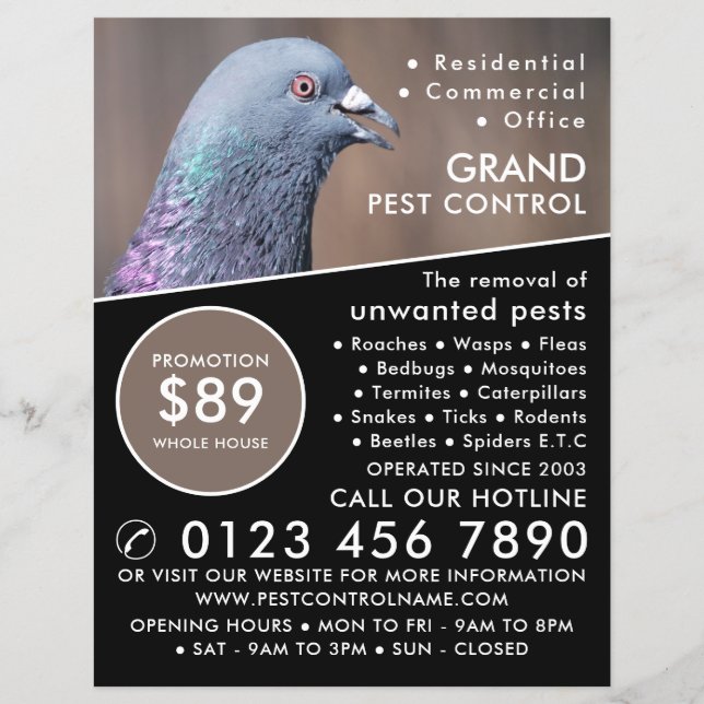 Flyer Wood Pigeon, Publicidade Para Controle De Pest (Frente)