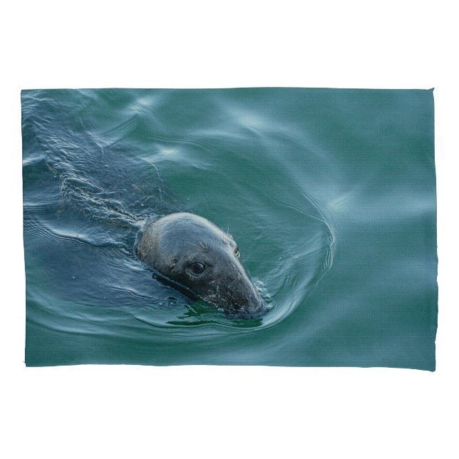 Foca Cinzenta de Chatham em Missão (Frente)
