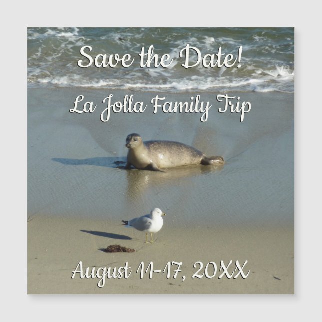 Foca-comum em La Jolla Califórnia (Frente)