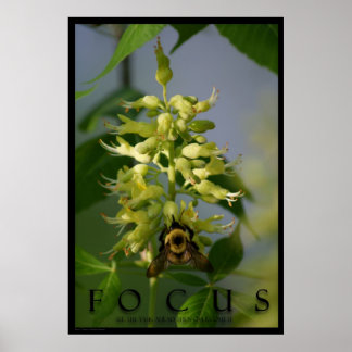 Focar Impressão de Fotografias de Poster de Mensag