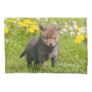 Fofo Floffy Red Fox Cub Baby Animal Photo -