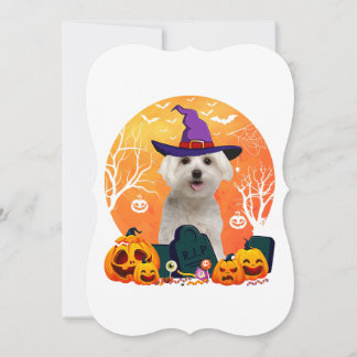 fofo maltese de halloween