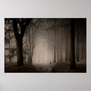 Foggy Morning Rushmere Country Park (0856) Poster