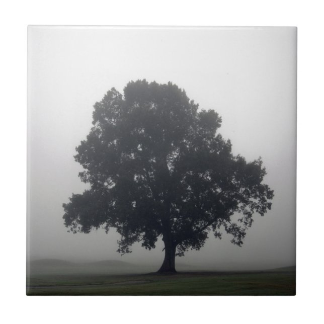 Foggy Tree (Frente)