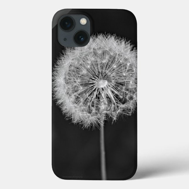 Foi para a Semente (Verso)