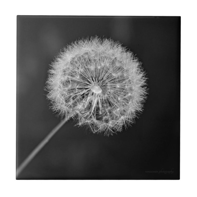 Foi para a Semente (Frente)