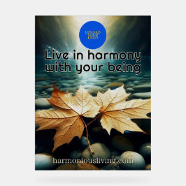 Folgas Personalizadas em Um Fluxo