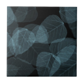 Folha azul X-Ray.png