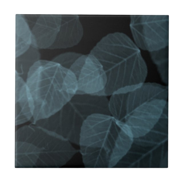 Folha azul X-Ray.png (Frente)