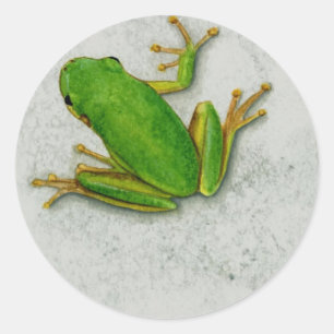 Folha da etiqueta do sapo verde