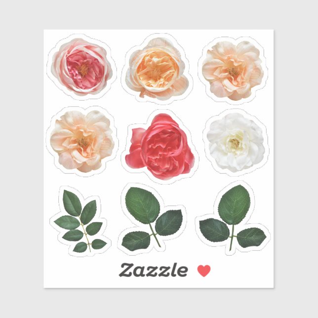 Folha de adesivo de corte de vinil do jardim de Ro (Folha)