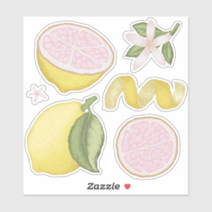Folha de Adesivos de Limão Floral Cítrico Limonada