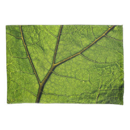 Folha de Borboleta Verde