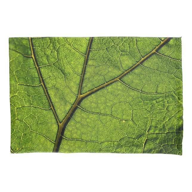 Folha de Borboleta Verde (Frente)