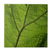 Folha de Borboleta Verde