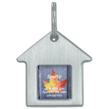 Folha de bordo do outono