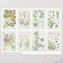 Folha de Colagem de Flores Art Nouveau Verneuil