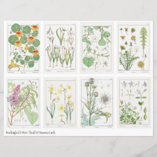 Folha de Colagem de Flores Art Nouveau Verneuil