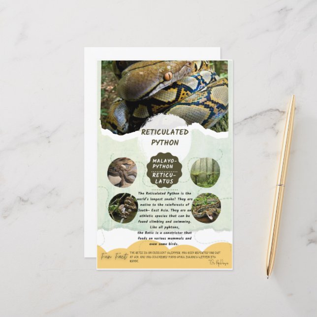Folha de Cuidados com Python Reticulado (Frente/Verso In Situ)