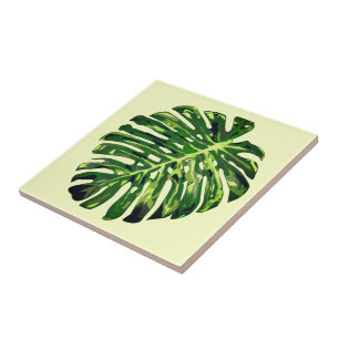 Folha de Monstera Tropical - Escolha/adicione a co