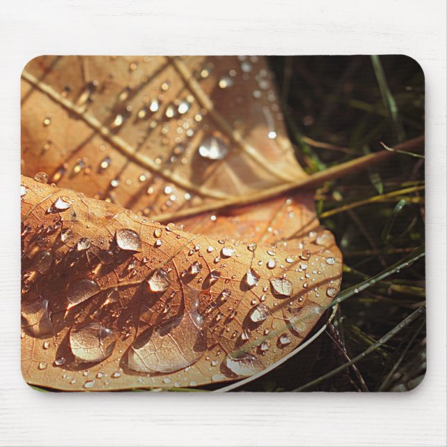 Folha de outono úmida - Mousepad (Frente)