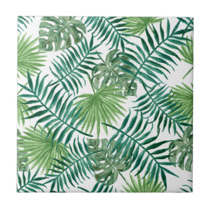 Folha de Palma Botânica Tropical de Planta