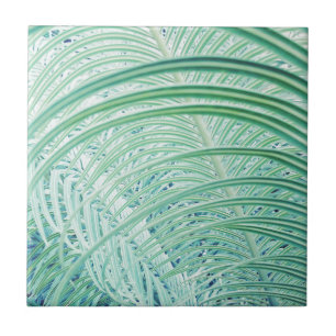 Folha de palmeira macia da planta verde