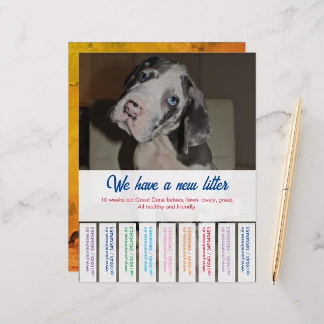 Folha de Papel (Frente/Verso In Situ)