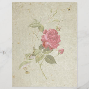Folha de papel plana de 11" x Rosa de 8,5"