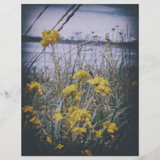 folha de papel scrapbook flores birchbay