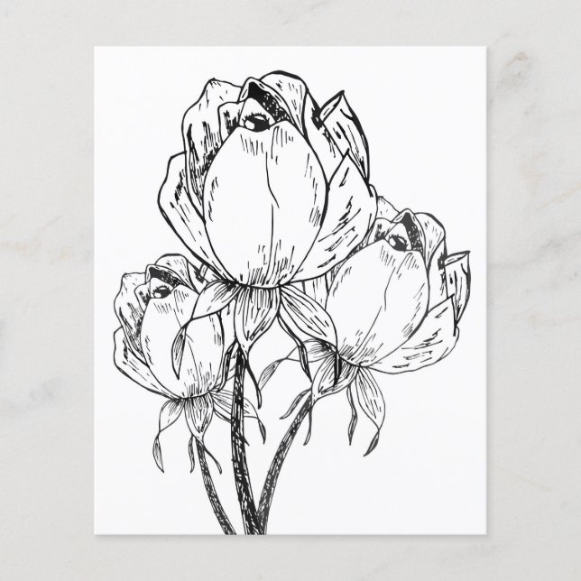 Folha de rosas (Frente)