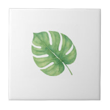 Folha Gren de Monstera