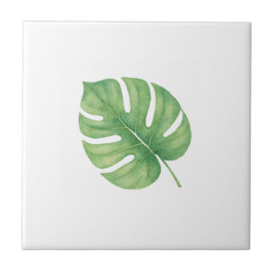 Folha Gren de Monstera