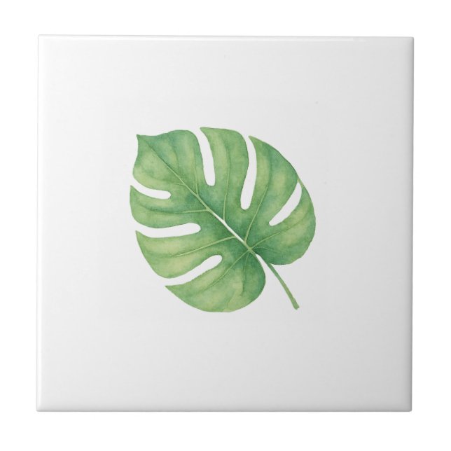 Folha Gren de Monstera (Frente)