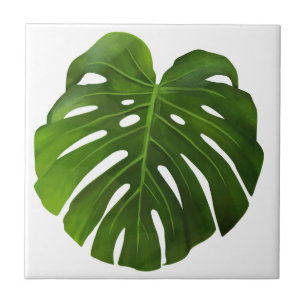 Folha tropical aquosa