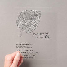 Folha tropical de monstera simples e delicada em r