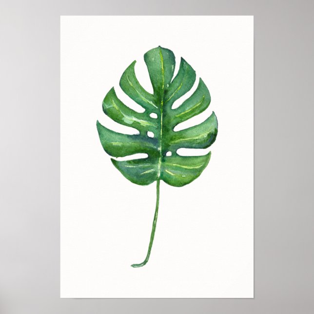 Folha tropical (Monstera) Poster de aquarela (Frente)