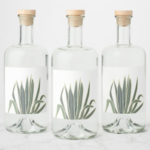 Folha tropical verde botânica