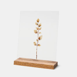 Folhagem Botânica Elegante Ramo