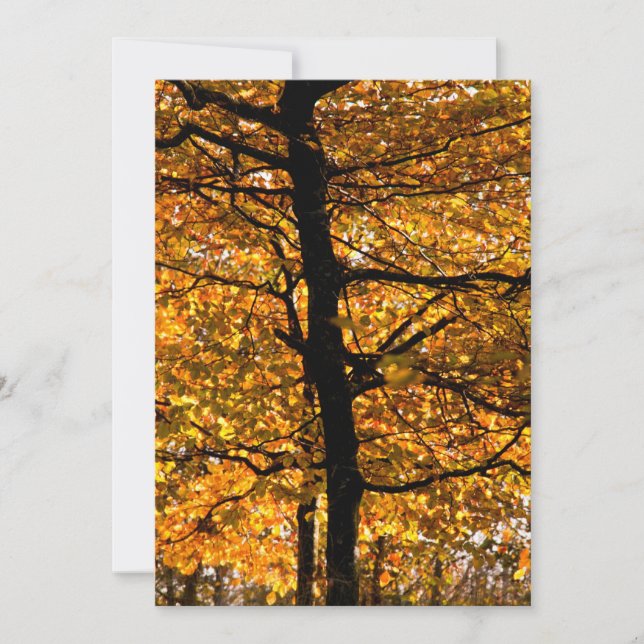 Folhagem de outono (Frente)