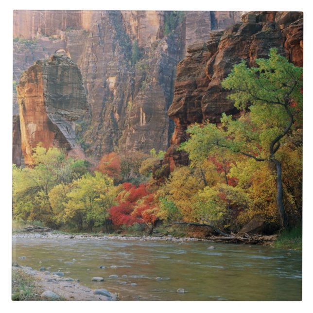 Folhagem de outono ao longo do rio Virgin perto do (Frente)